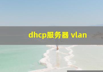 dhcp服务器 vlan